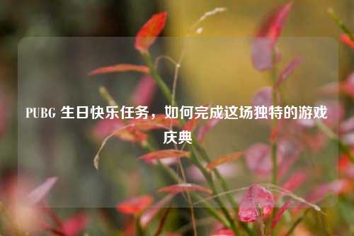 PUBG 生日快乐任务，如何完成这场独特的游戏庆典