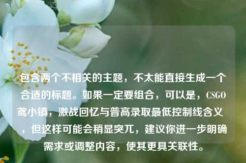 包含两个不相关的主题，不太能直接生成一个合适的标题。如果一定要组合，可以是，CSGO鸢小镇，激战回忆与普高录取更低控制线含义  ，但这样可能会稍显突兀，建议你进一步明确需求或调整内容，使其更具关联性。