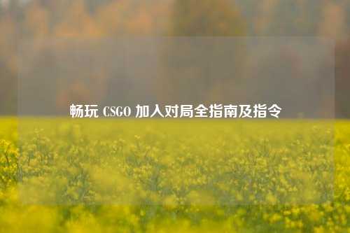 畅玩 CSGO 加入对局全指南及指令