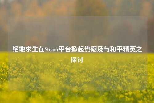 绝地求生在Steam平台掀起热潮及与和平精英之探讨