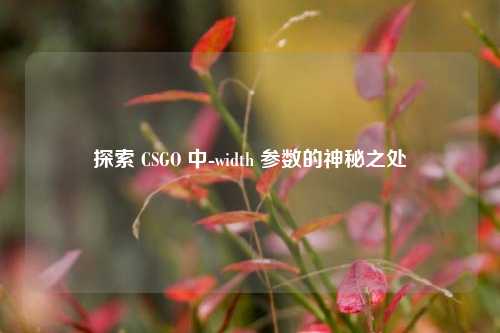 探索 CSGO 中-width 参数的神秘之处
