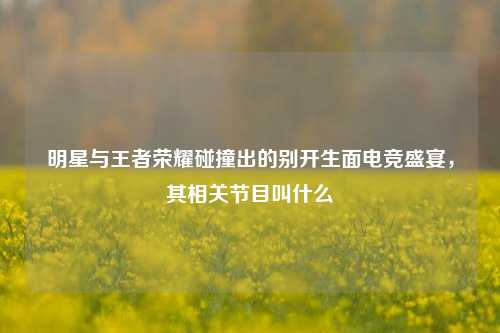 明星与王者荣耀碰撞出的别开生面电竞盛宴，其相关节目叫什么
