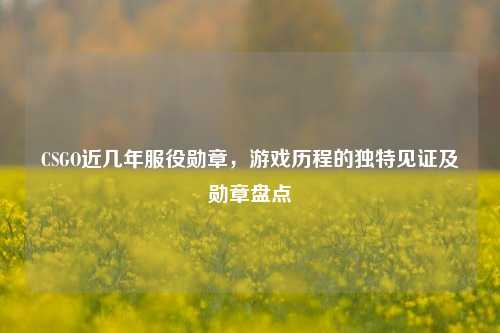 CSGO近几年服役勋章，游戏历程的独特见证及勋章盘点