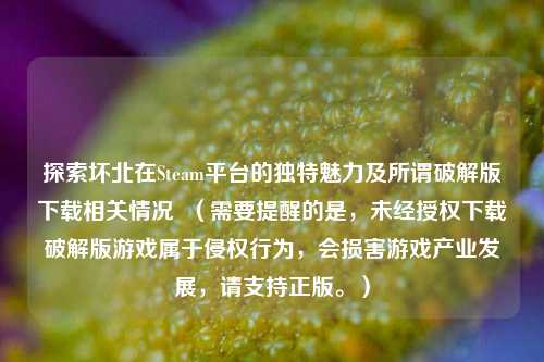 探索坏北在Steam平台的独特魅力及所谓破解版下载相关情况  （需要提醒的是，未经授权下载破解版游戏属于侵权行为，会损害游戏产业发展，请支持正版。）