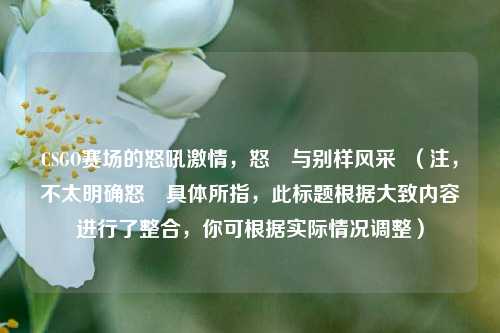 CSGO赛场的怒吼 *** ，怒姄与别样风采  （注，不太明确怒姄具体所指，此标题根据大致内容进行了整合，你可根据实际情况调整）