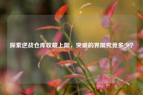 探索逆战仓库收藏上限，突破的界限究竟多少？
