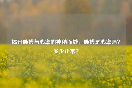 揭开脉搏与心率的神秘面纱，脉搏是心率吗？多少正常？