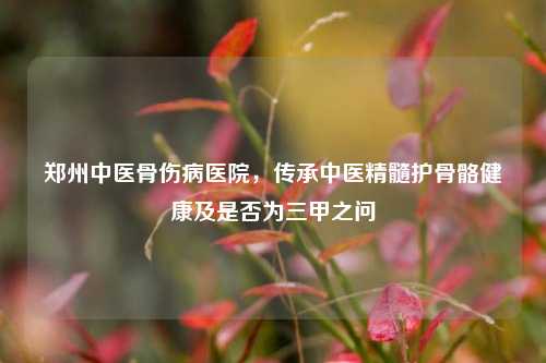 郑州中医骨伤病医院，传承中医精髓护骨骼健康及是否为三甲之问