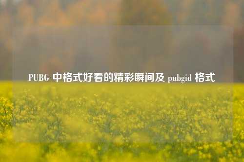 PUBG 中格式好看的精彩瞬间及 pubgid 格式