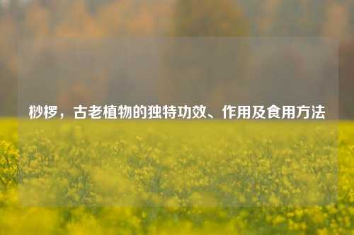 桫椤，古老植物的独特功效、作用及食用 *** 