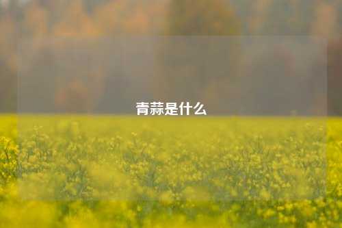 青蒜是什么