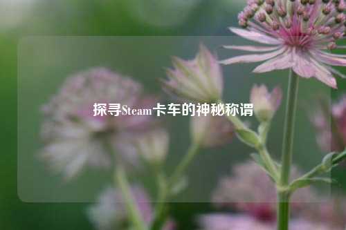 探寻Steam卡车的神秘称谓