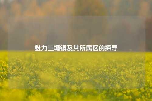 魅力三塘镇及其所属区的探寻
