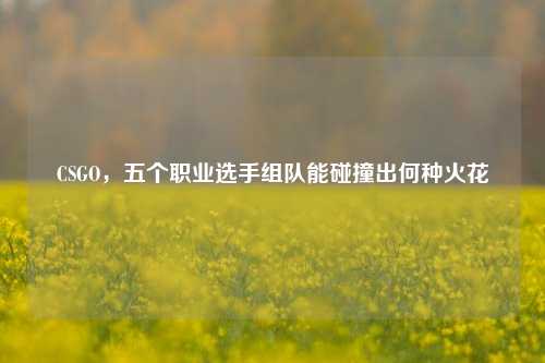 CSGO，五个职业选手组队能碰撞出何种火花