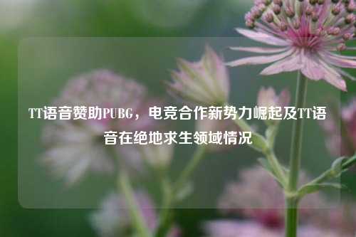 TT语音赞助PUBG，电竞合作新势力崛起及TT语音在绝地求生领域情况