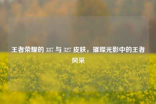 王者荣耀的 337 与 327 皮肤，璀璨光影中的王者风采