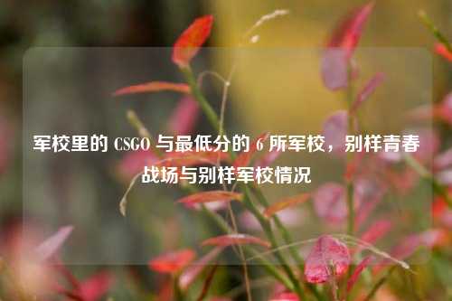 军校里的 CSGO 与更低分的 6 所军校，别样青春战场与别样军校情况