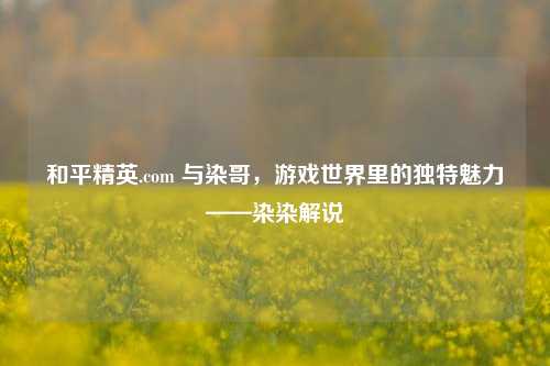 和平精英.com 与染哥，游戏世界里的独特魅力——染染解说