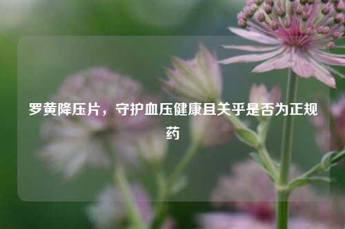罗黄降压片，守护血压健康且关乎是否为正规药