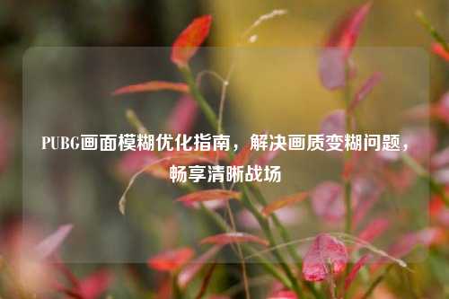 PUBG画面模糊优化指南，解决画质变糊问题，畅享清晰战场