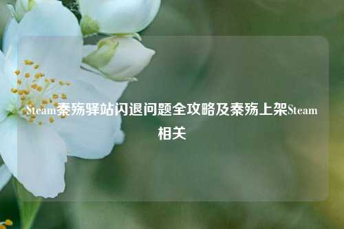 Steam秦殇驿站闪退问题全攻略及秦殇上架Steam相关