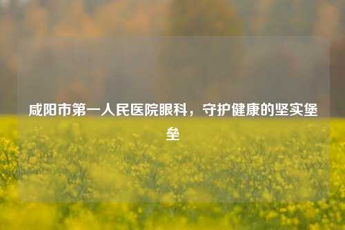 咸阳市之一人民医院眼科，守护健康的坚实堡垒