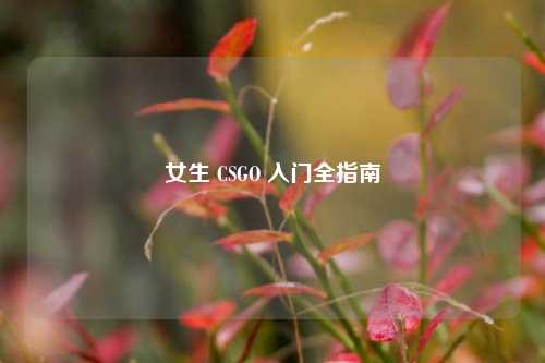 女生 CSGO 入门全指南