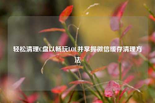 轻松清理C盘以畅玩LOL并掌握微信缓存清理 *** 