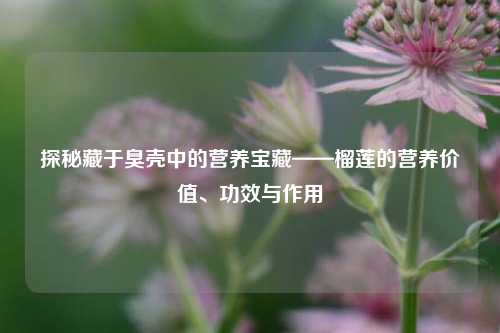 探秘藏于臭壳中的营养宝藏——榴莲的营养价值、功效与作用