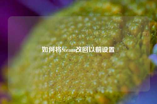 如何将Steam改回以前设置