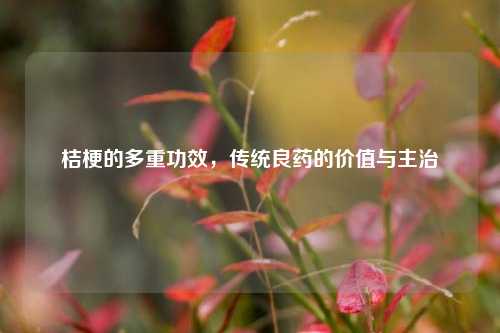 桔梗的多重功效，传统良药的价值与主治