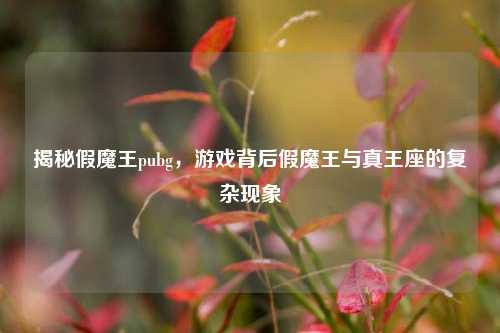 揭秘假魔王pubg，游戏背后假魔王与真王座的复杂现象