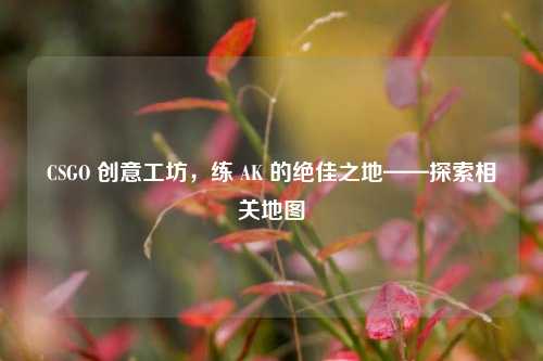 CSGO 创意工坊，练 AK 的绝佳之地——探索相关地图