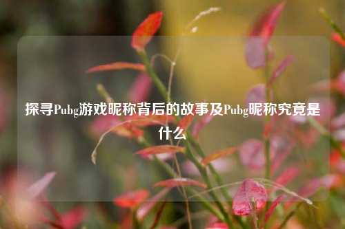 探寻Pubg游戏昵称背后的故事及Pubg昵称究竟是什么
