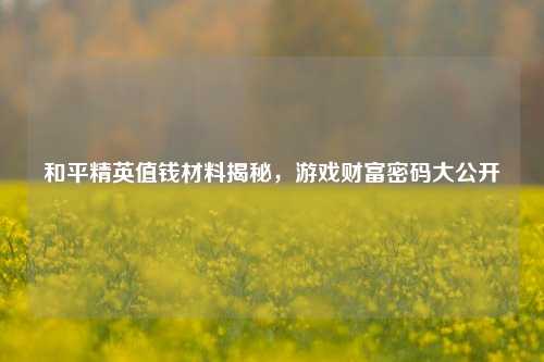 和平精英值钱材料揭秘，游戏财富密码大公开