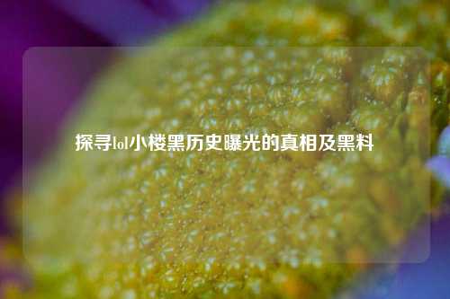 探寻lol小楼黑历史曝光的真相及黑料