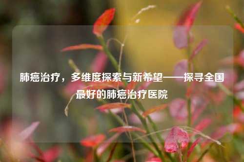 肺癌治疗，多维度探索与新希望——探寻全国更好的肺癌治疗医院