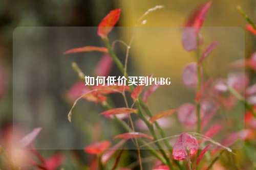 如何低价买到PUBG