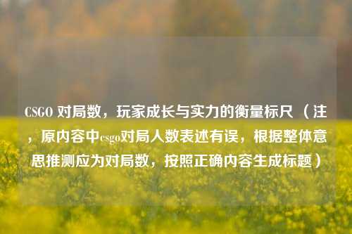 CSGO 对局数，玩家成长与实力的衡量标尺 （注，原内容中csgo对局人数表述有误，根据整体意思推测应为对局数，按照正确内容生成标题）