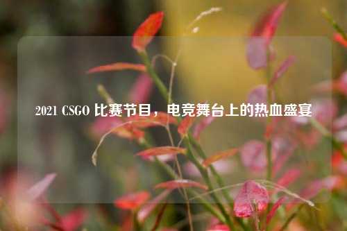 2021 CSGO 比赛节目，电竞舞台上的热血盛宴