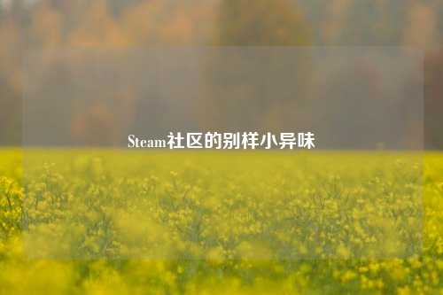 Steam社区的别样小异味