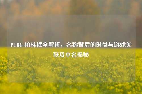 PUBG 柏林裤全解析，名称背后的时尚与游戏关联及本名揭秘