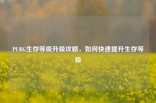PUBG生存等级升级攻略，如何快速提升生存等级