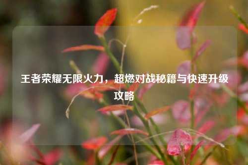 王者荣耀无限火力，超燃对战秘籍与快速升级攻略