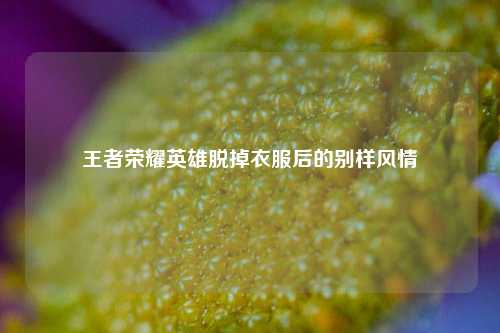 王者荣耀英雄脱掉衣服后的别样风情