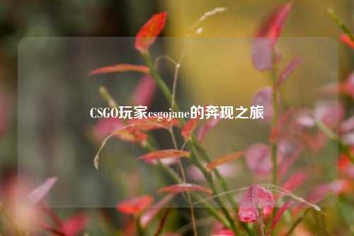CSGO玩家csgojane的奔现之旅