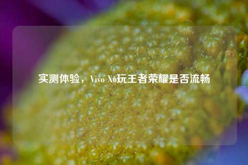 实测体验，Vivo X6玩王者荣耀是否流畅