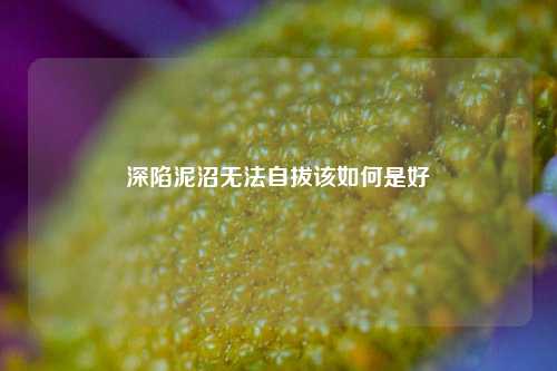 深陷泥沼无法自拔该如何是好