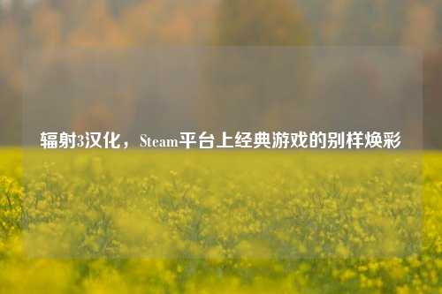 辐射3汉化，Steam平台上经典游戏的别样焕彩