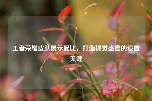 王者荣耀皮肤展示配比，打造视觉盛宴的设置关键